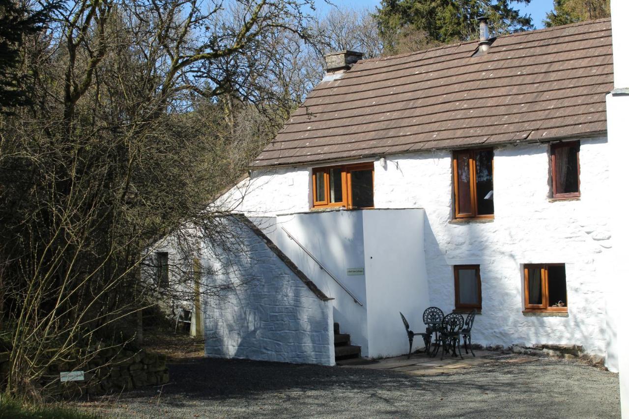 Ghyll Burn Cottage Alston Exteriör bild